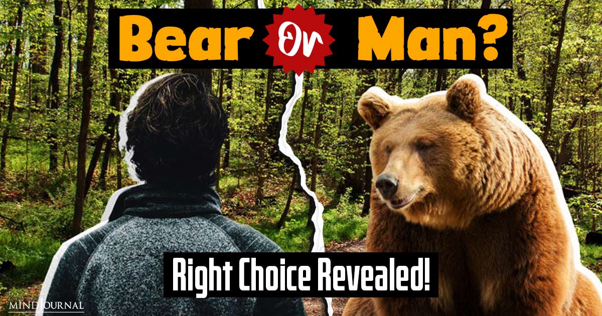 Man vs Bear Debate: Is It Safe To Choose a Bear Over Man?
