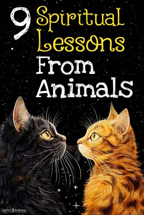 lessons from animals