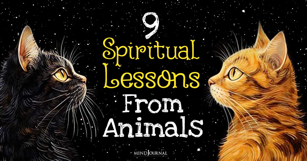 Spiritual Lessons From Animals that are worth exploring