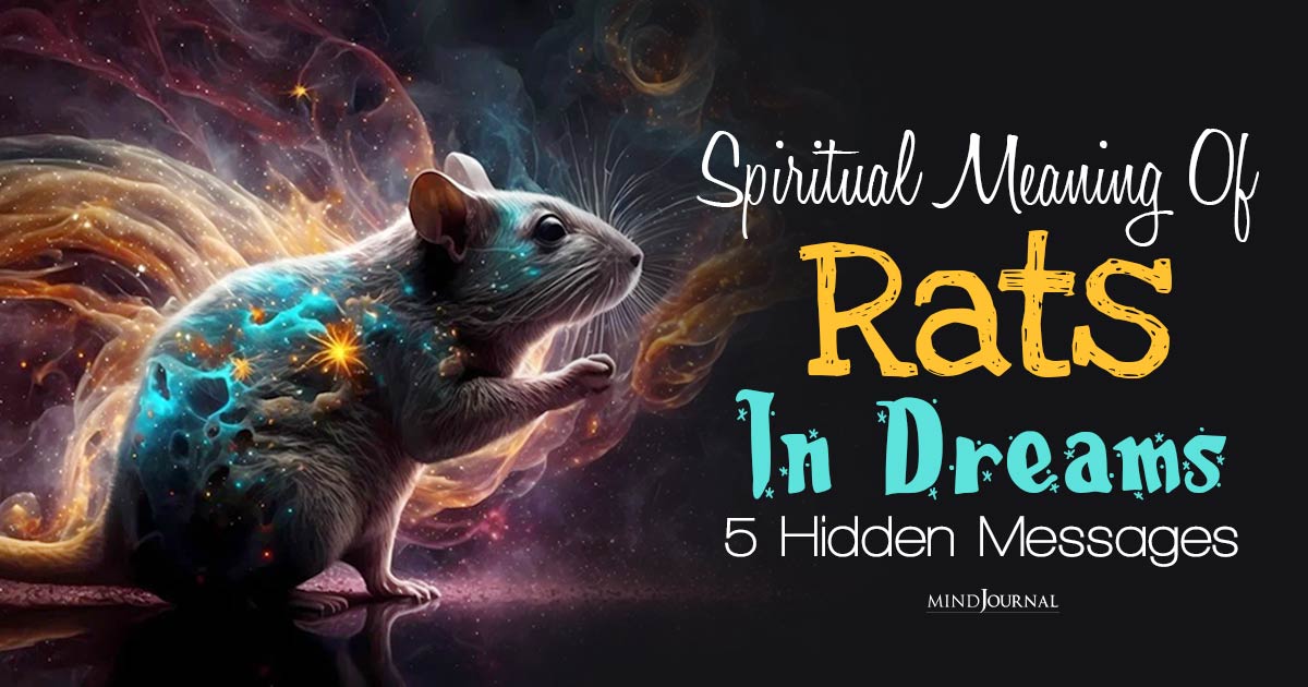 Spiritual Meaning Of Rats In Dreams: Hidden Messages