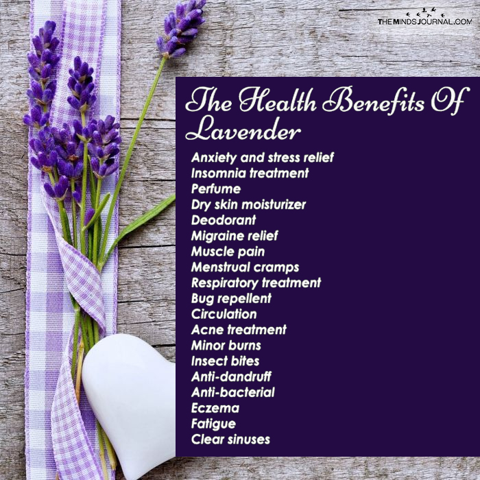 The Health Benefits Of Lavender