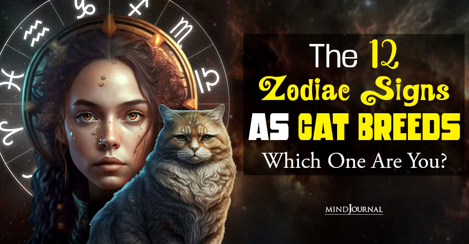 The 12 Zodiac Signs As Cat Breeds: Which One Are You?