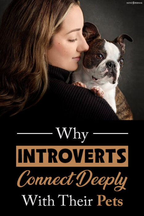 pets and introverts
