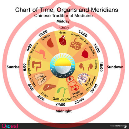 chart od time organs and meridians