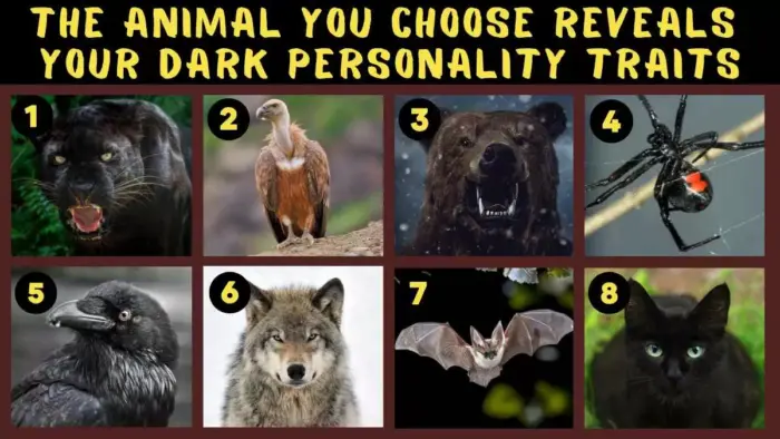 Animal personality test