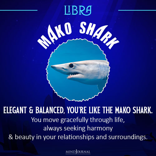 which shark are you