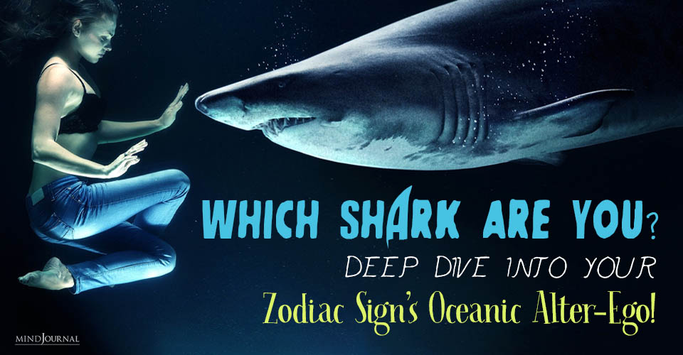 Which Shark Are You? Zodiac Signs As Sharks