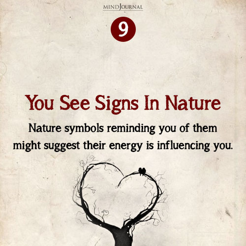 You See Signs in Nature