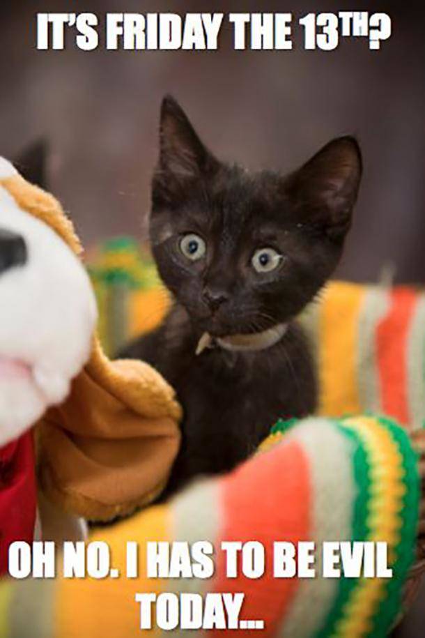 image depicts that Friday the 13th is Believed To Be Unlucky