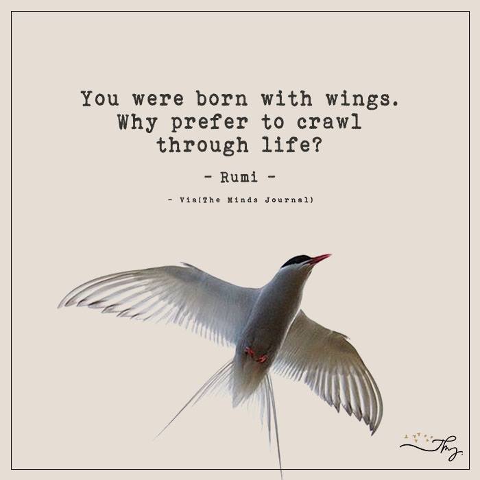 You Were Born With Wings