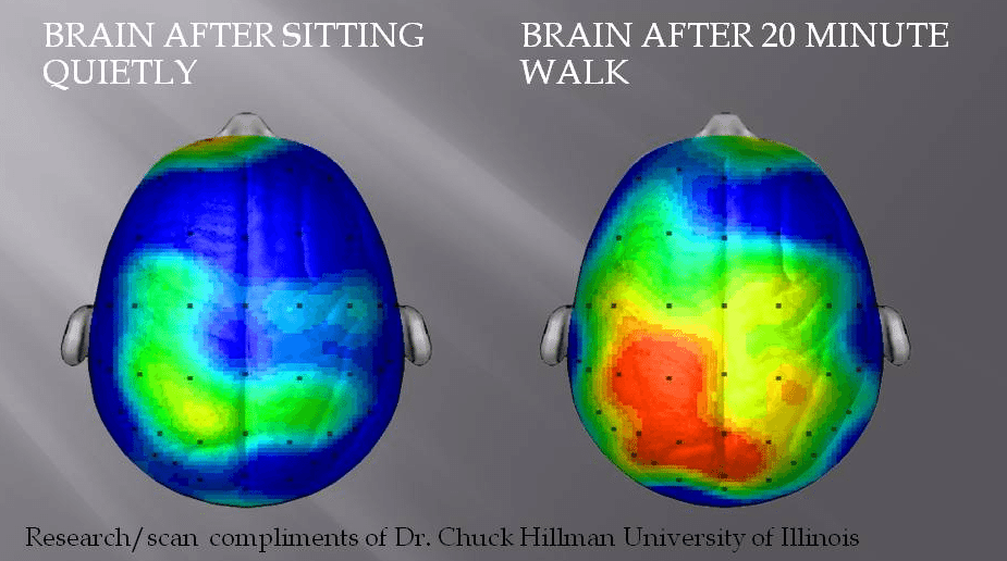 brain before and after walking.