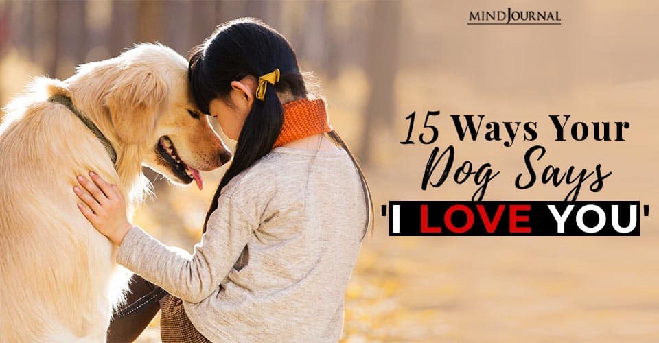 15 Signs Your Dog Loves You, According To Veterinarians