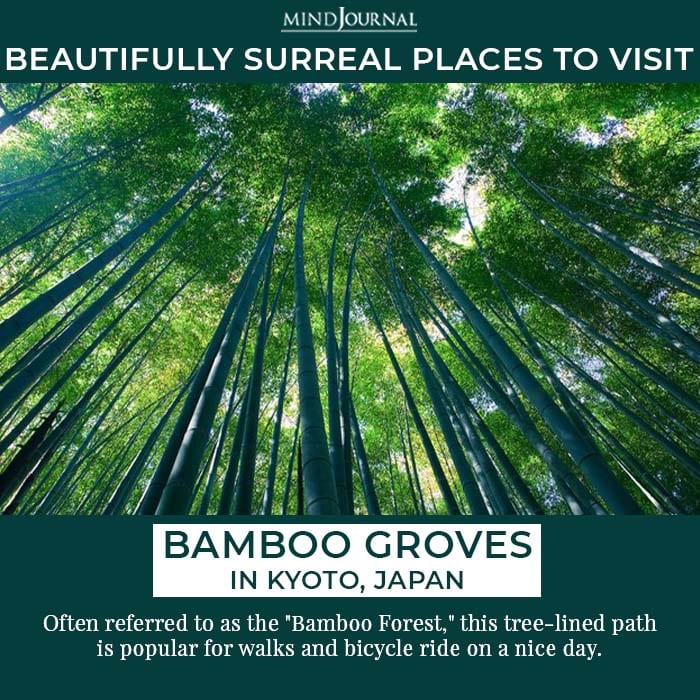 In attempts of saving others