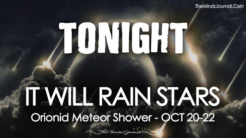 Tonight It Will Rain Stars- Orionid Meteor Shower