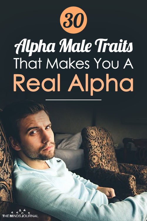 traits of an alpha male