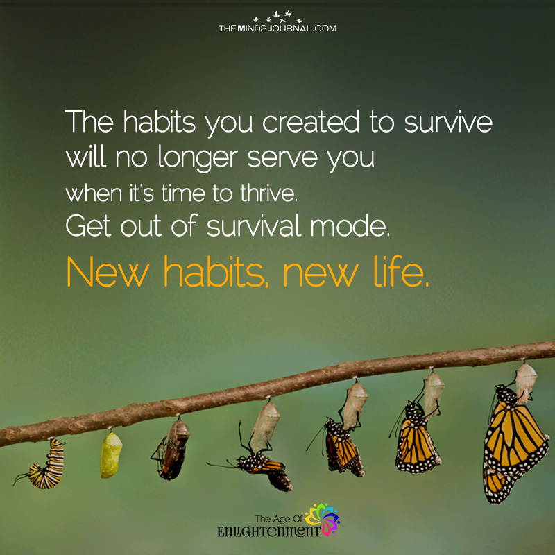 New habits, New Life