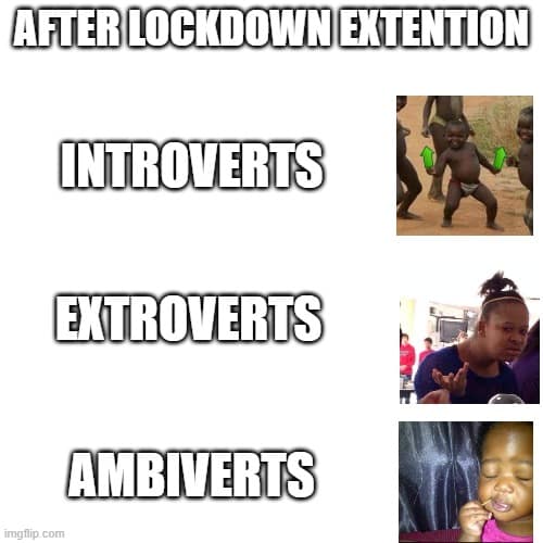 ambivert memes