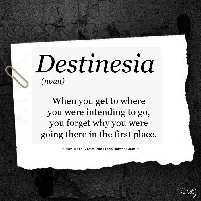  Destinesia
