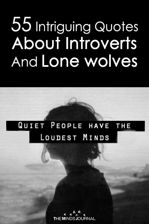 55 Intriguing Quotes About Introverts And Lone wolves