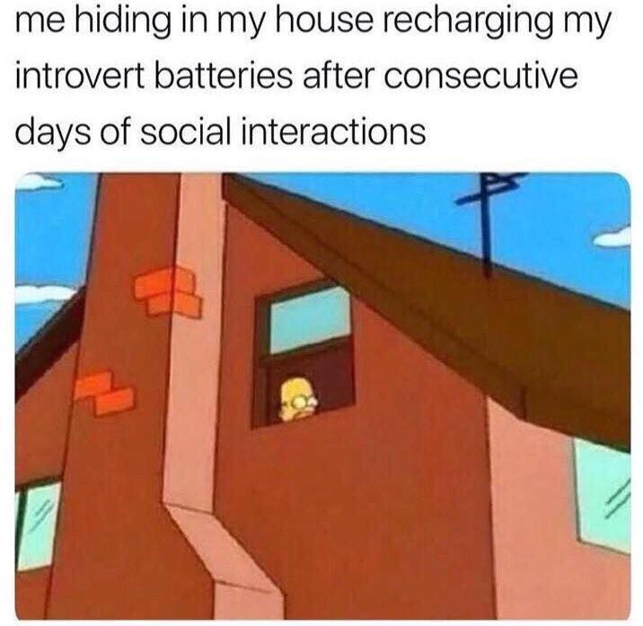 Introvert Memes