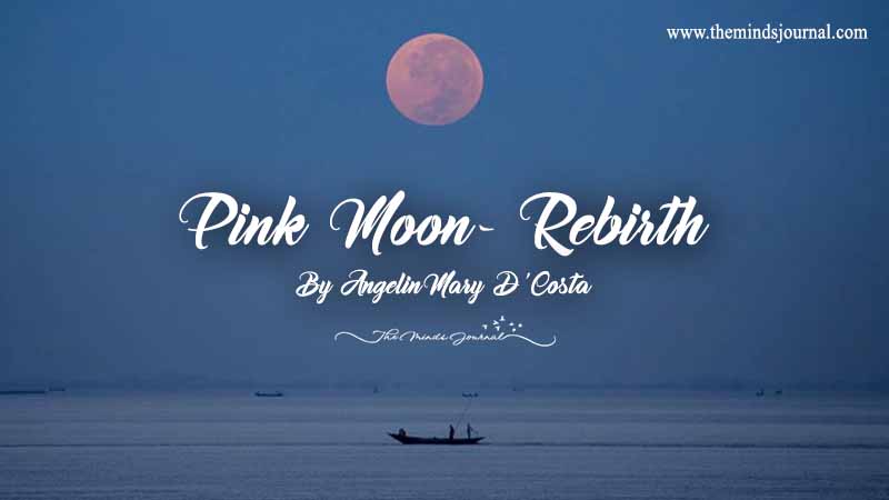 Pink Moon – Rebirth