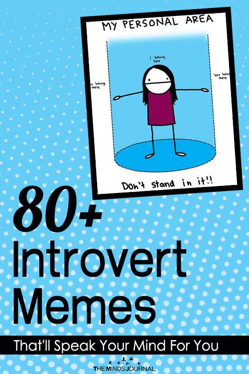 80+ introverted memes pin