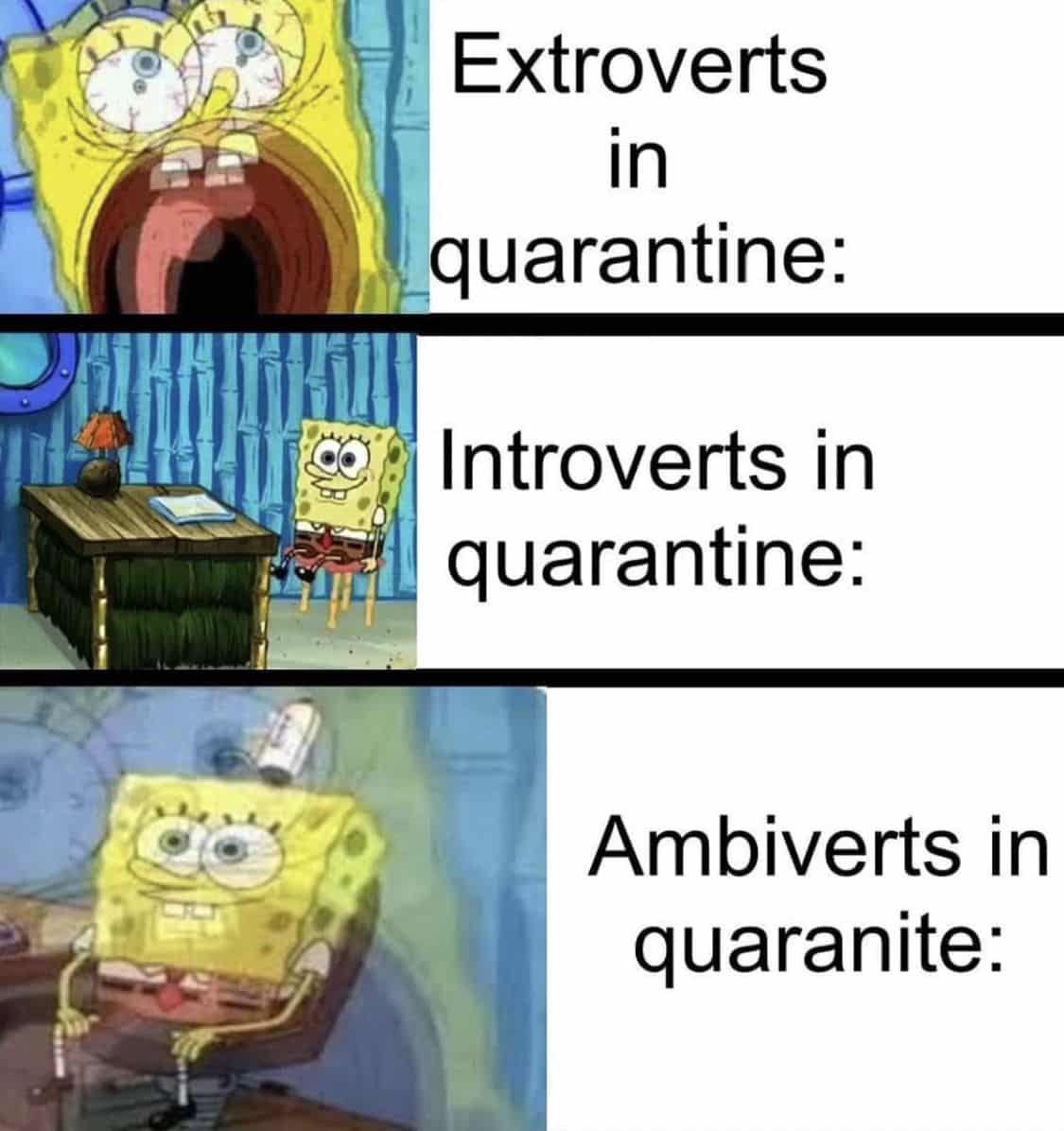 ambivert memes