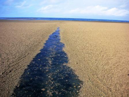 beach in the middle of sea