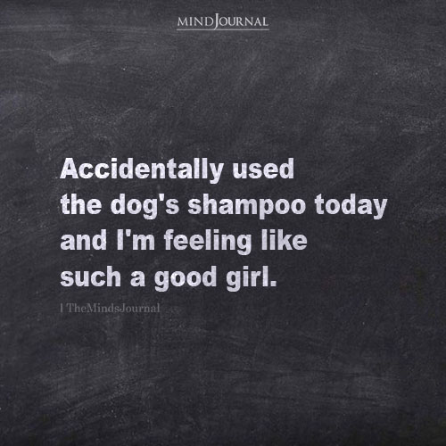 Accidentally Used The Dog’s Shampoo Today