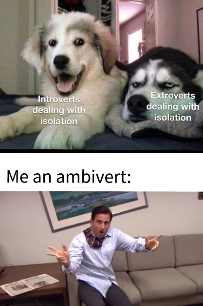 ambivert memes