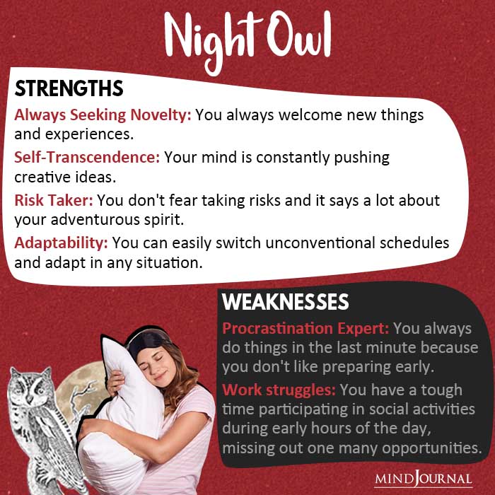 early bird or night owl