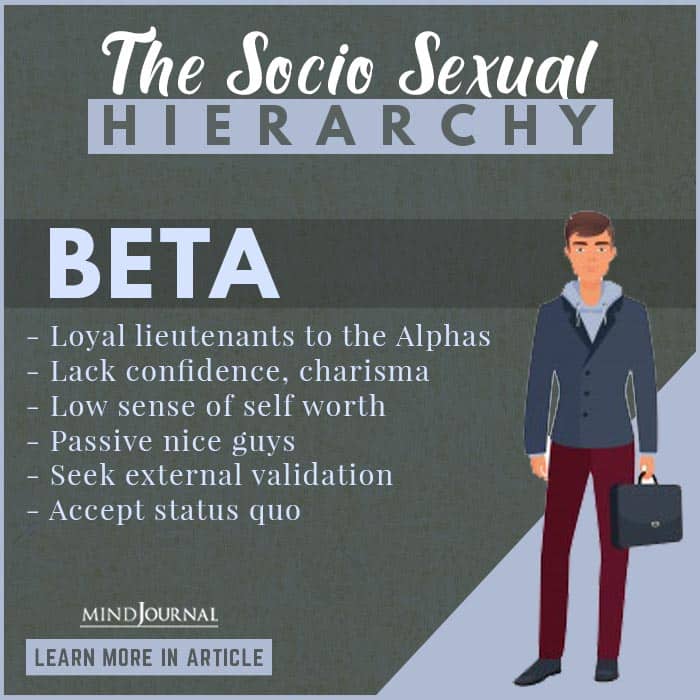 socio sexual hierarchy