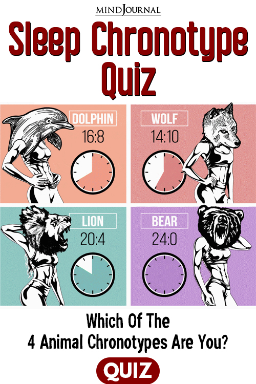 Bear Dolphin Wolf Lion Animal Chronotypes quiz pin