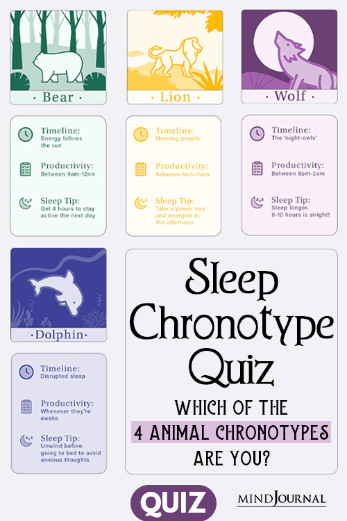 Bear Dolphin Wolf lion Animal Chronotypes quiz