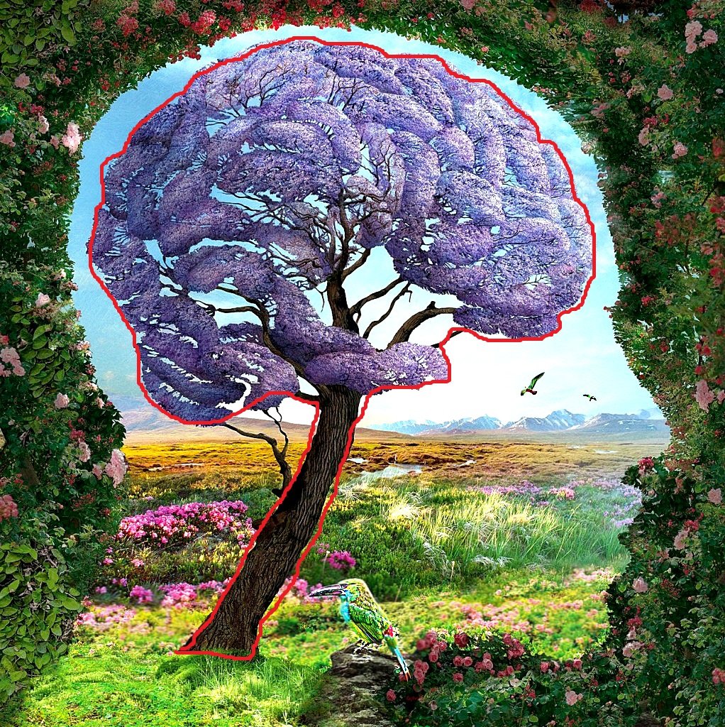 brain/tree