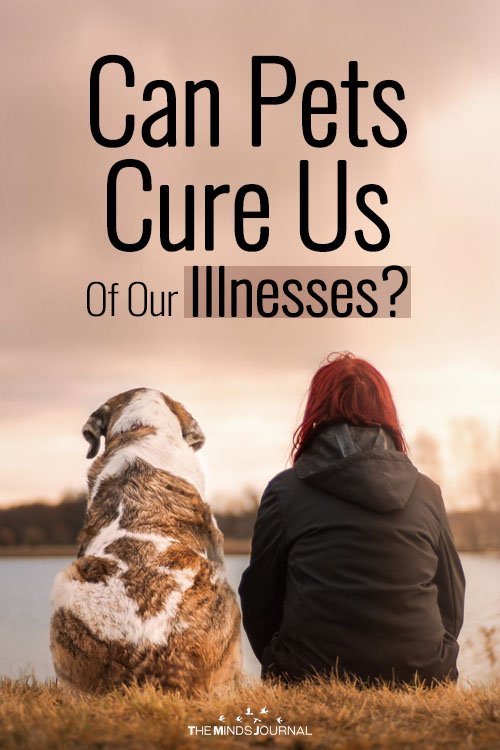 Can Pets Cure Us Of Our Illnesses?