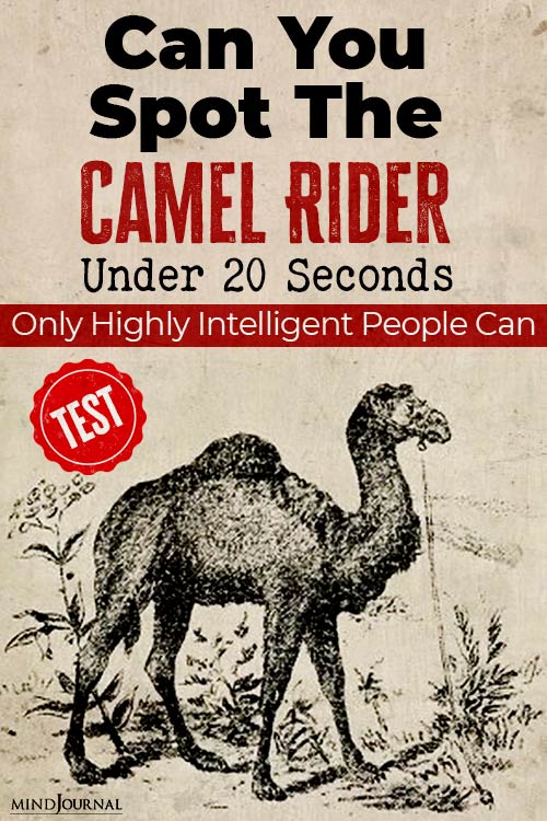 Can Spot The Camel Rider pin