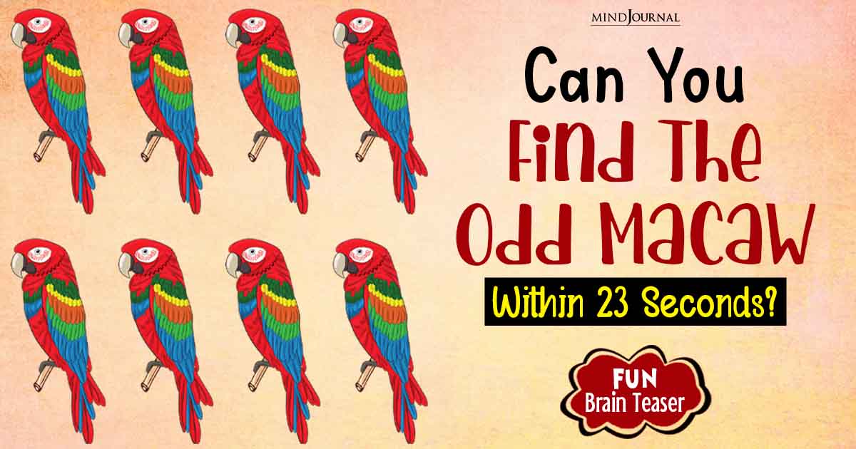 Can You Find The Odd Macaw Within 23 Seconds? Fun Brain Teaser Puzzle