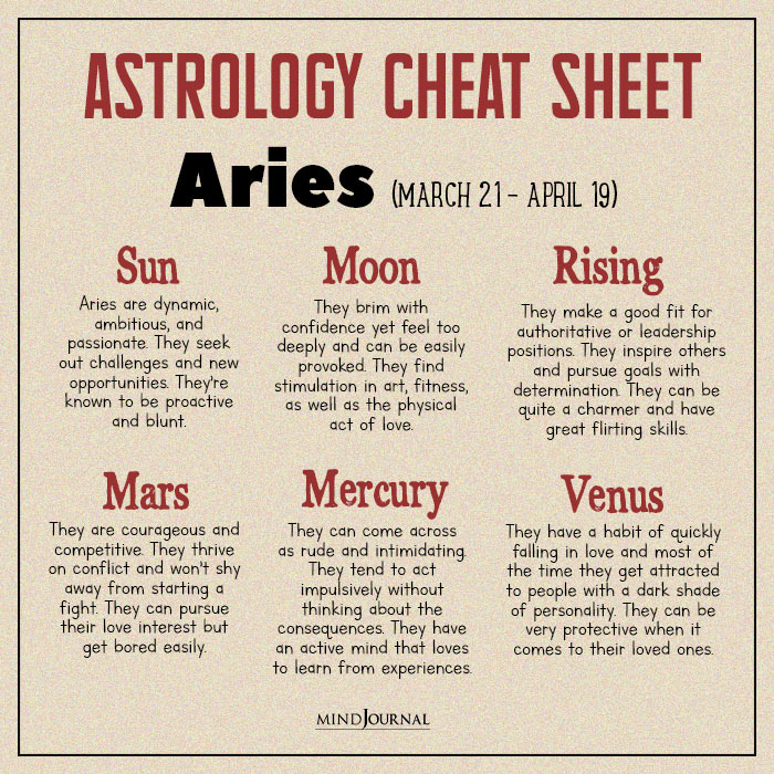 Cheat Sheet aries white