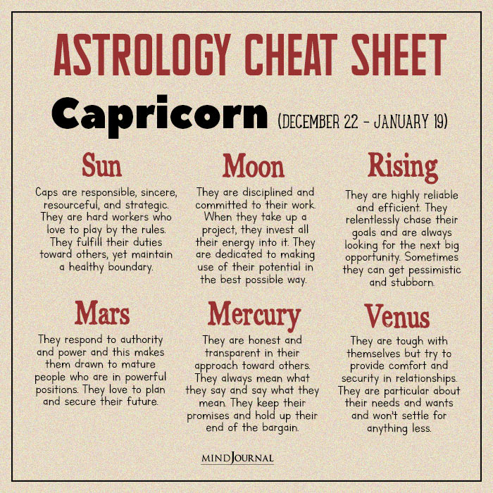 Cheat Sheet capricon