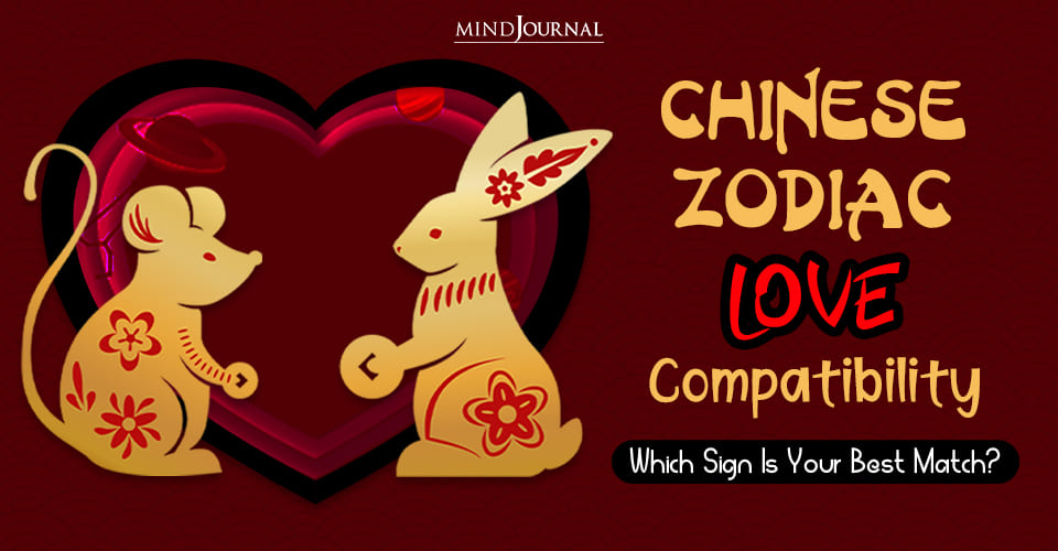 Chinese Zodiac Compatibility: Which Chinese Zodiac Personality Is Your Best Match?