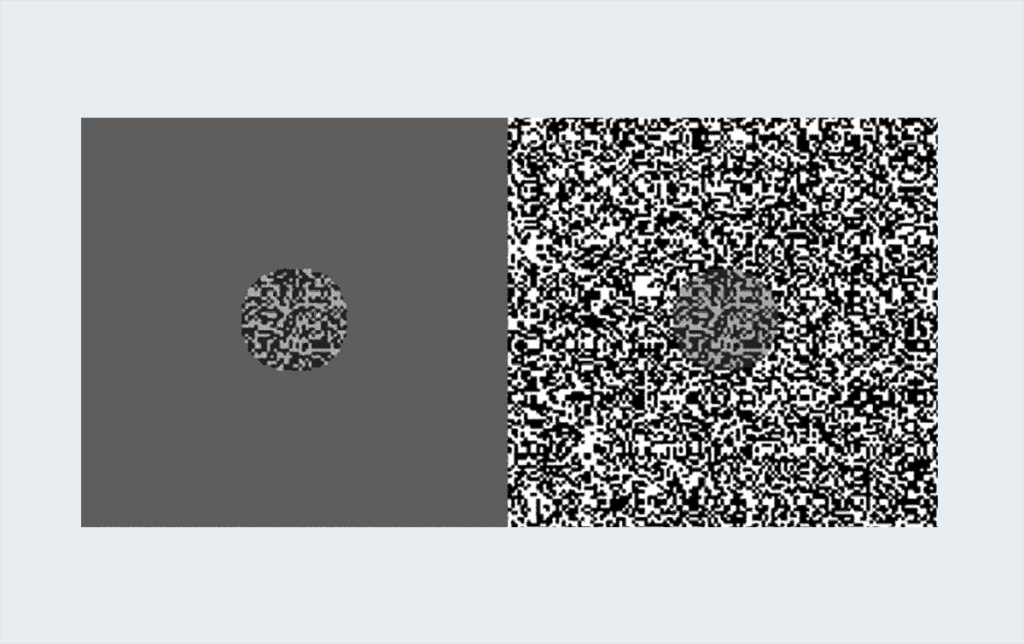schizophrenia optical illusion