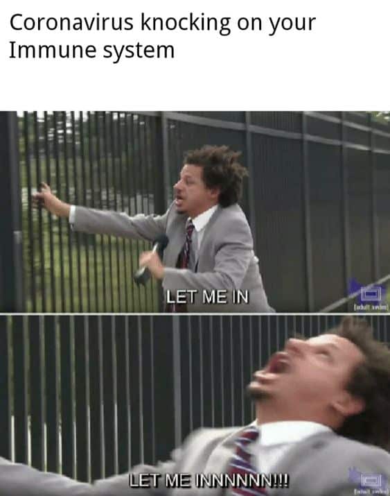 funniest Coronavirus tweets and memes