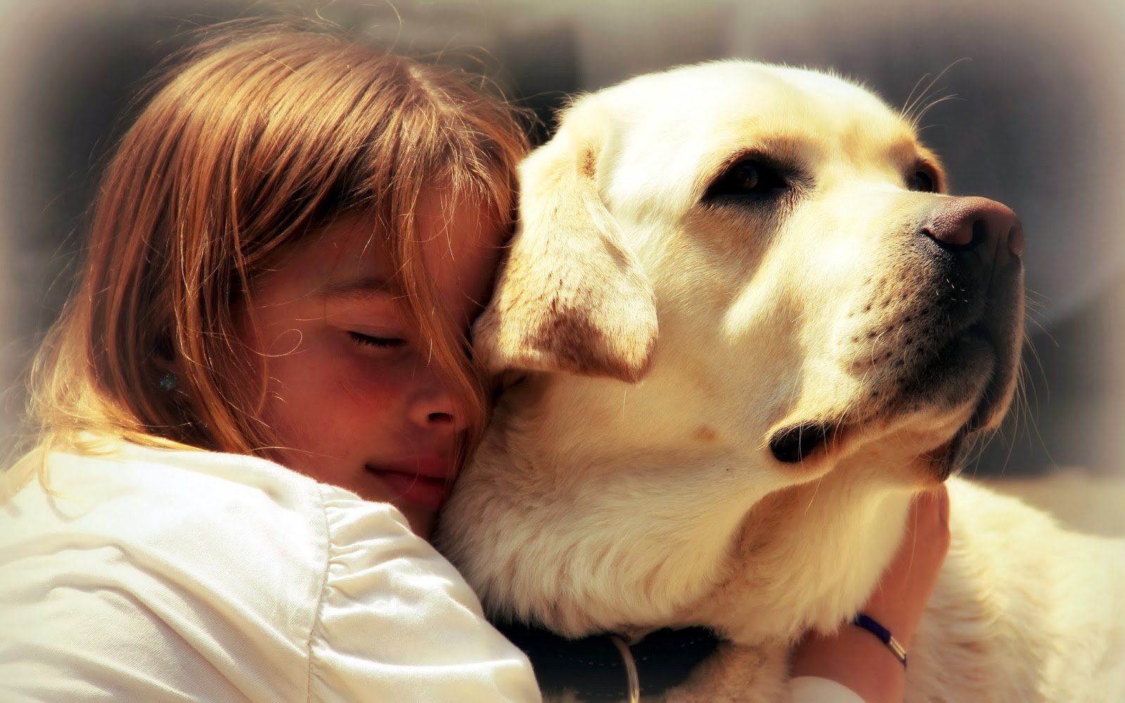 How Service Dogs Can Help With Depression & Anxiety