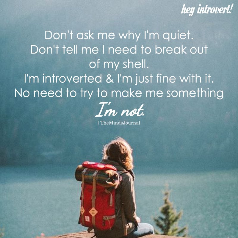 quiet introvert