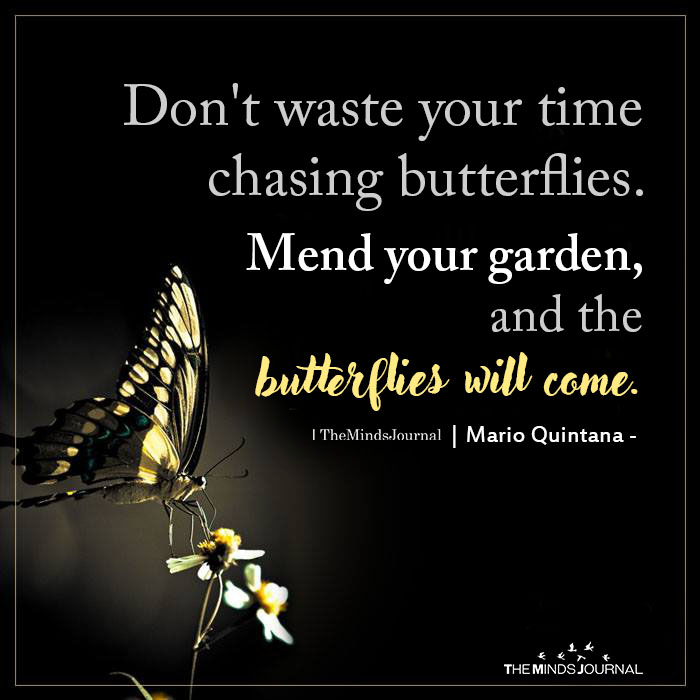 Don’t Chase The Butterfly