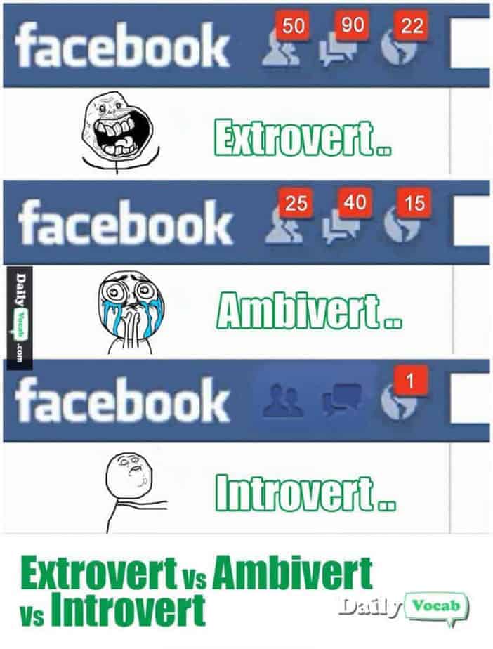 ambivert memes