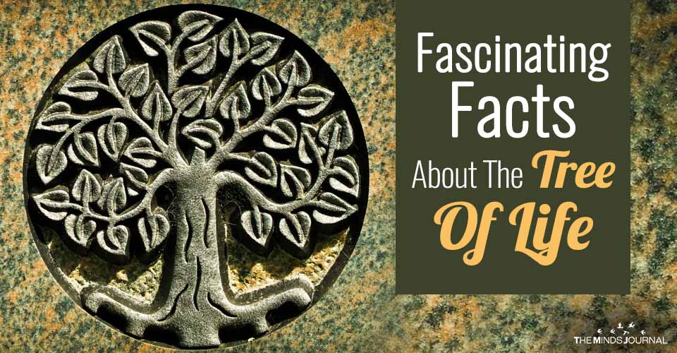 Fascinating Facts About The Tree Of Life