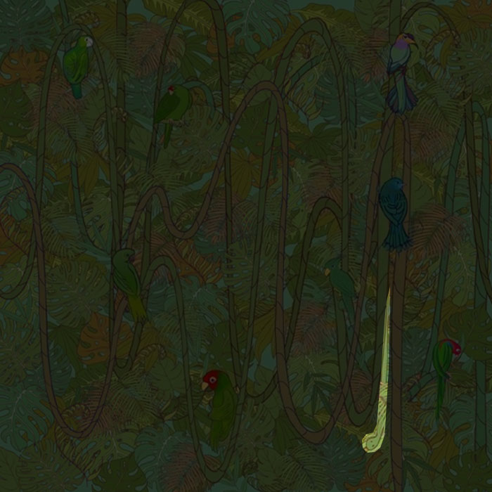 find the hidden objects