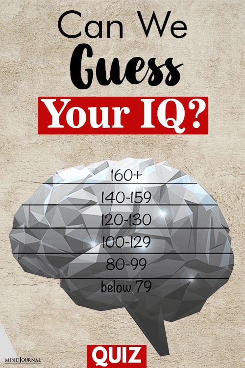 Guess Your IQ pin